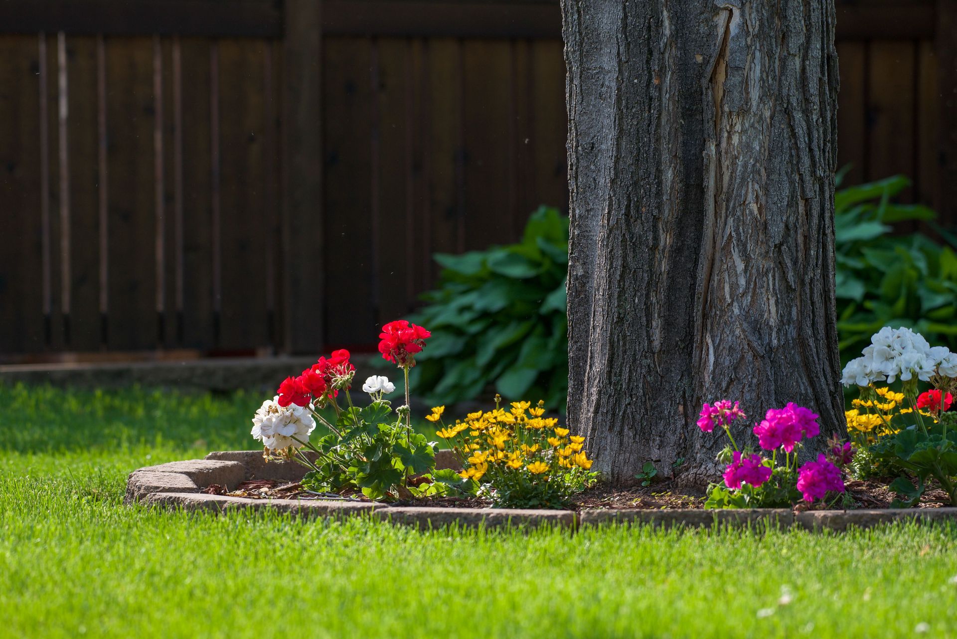 A vibrant backyard garden showcasing colorful flowers around a tree trunk.